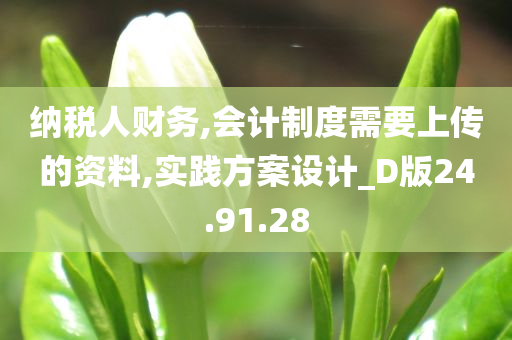 纳税人财务,会计制度需要上传的资料,实践方案设计_D版24.91.28