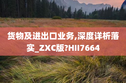 货物及进出口业务,深度详析落实_ZXC版?HII7664