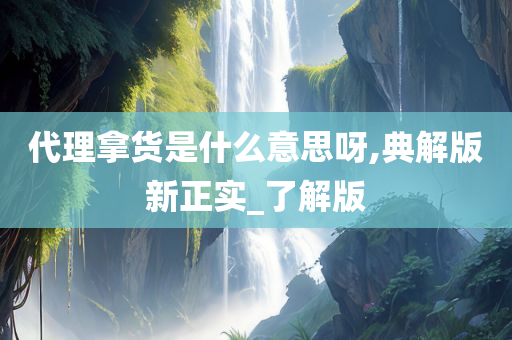 代理拿货是什么意思呀,典解版新正实_了解版