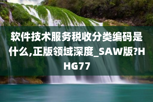 软件技术服务税收分类编码是什么,正版领域深度_SAW版?HHG77