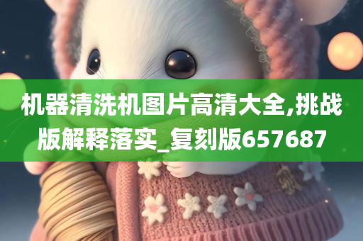 机器清洗机图片高清大全,挑战版解释落实_复刻版657687