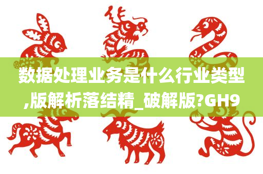 数据处理业务是什么行业类型,版解析落结精_破解版?GH9