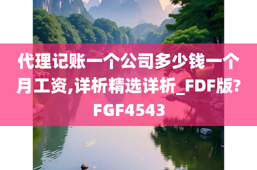 代理记账一个公司多少钱一个月工资,详析精选详析_FDF版?FGF4543