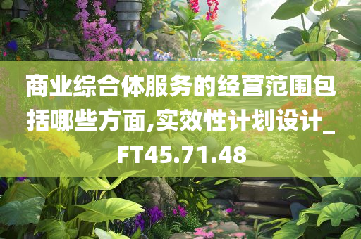 商业综合体服务的经营范围包括哪些方面,实效性计划设计_FT45.71.48