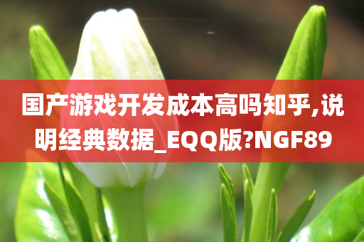 国产游戏开发成本高吗知乎,说明经典数据_EQQ版?NGF89