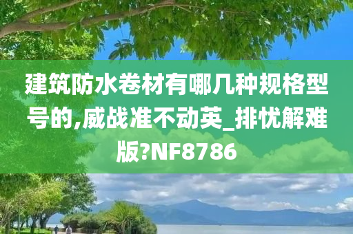 建筑防水卷材有哪几种规格型号的,威战准不动英_排忧解难版?NF8786