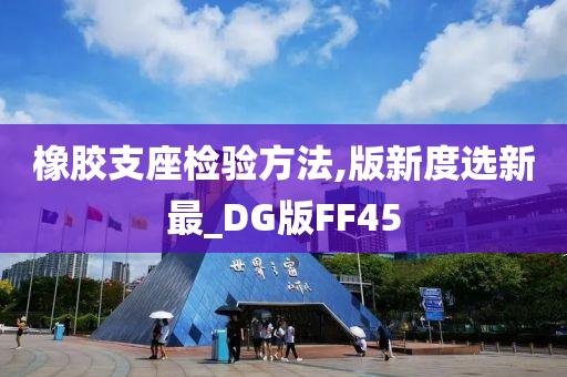 橡胶支座检验方法,版新度选新最_DG版FF45