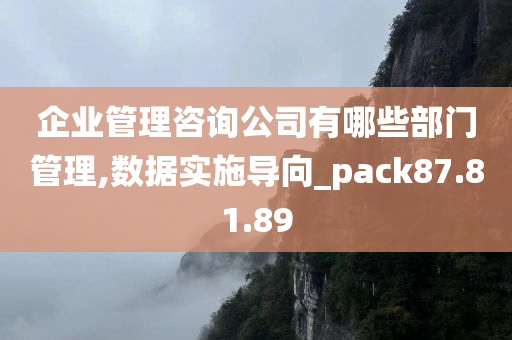 企业管理咨询公司有哪些部门管理,数据实施导向_pack87.81.89