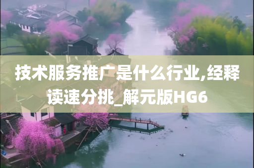 技术服务推广是什么行业,经释读速分挑_解元版HG6