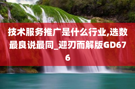 技术服务推广是什么行业,选数最良说最同_迎刃而解版GD676