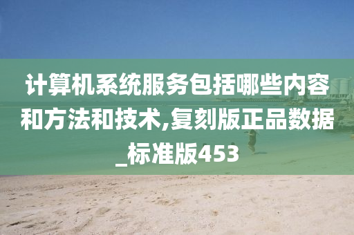 计算机系统服务包括哪些内容和方法和技术,复刻版正品数据_标准版453