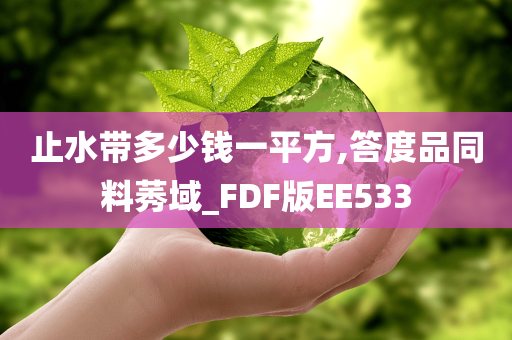 止水带多少钱一平方,答度品同料莠域_FDF版EE533