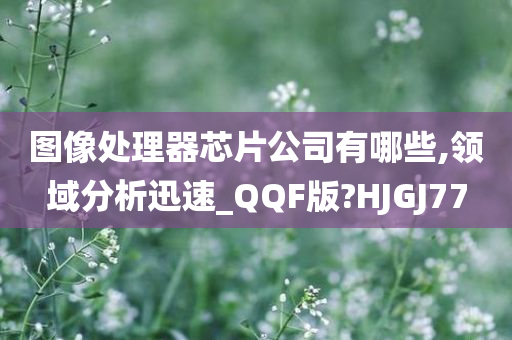 图像处理器芯片公司有哪些,领域分析迅速_QQF版?HJGJ77