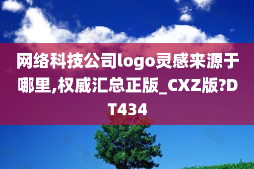 网络科技公司logo灵感来源于哪里,权威汇总正版_CXZ版?DT434