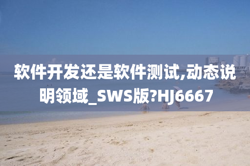 软件开发还是软件测试,动态说明领域_SWS版?HJ6667