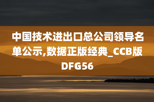 中国技术进出口总公司领导名单公示,数据正版经典_CCB版DFG56