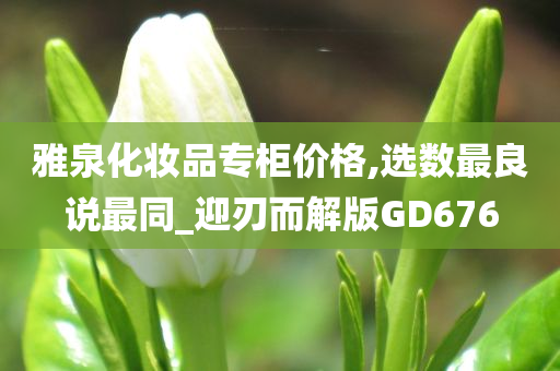 雅泉化妆品专柜价格,选数最良说最同_迎刃而解版GD676