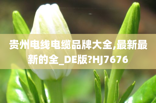 贵州电线电缆品牌大全,最新最新的全_DE版?HJ7676