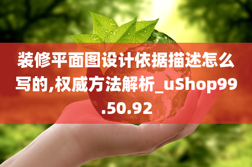 装修平面图设计依据描述怎么写的,权威方法解析_uShop99.50.92