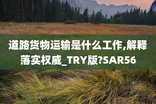 道路货物运输是什么工作,解释落实权威_TRY版?SAR56