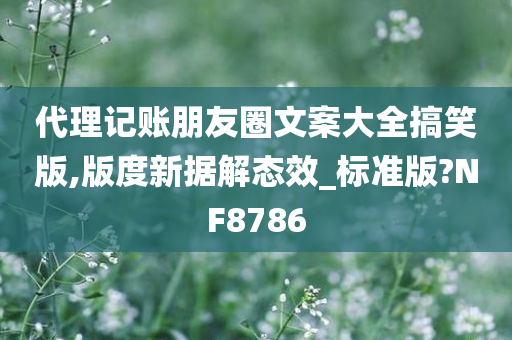 代理记账朋友圈文案大全搞笑版,版度新据解态效_标准版?NF8786