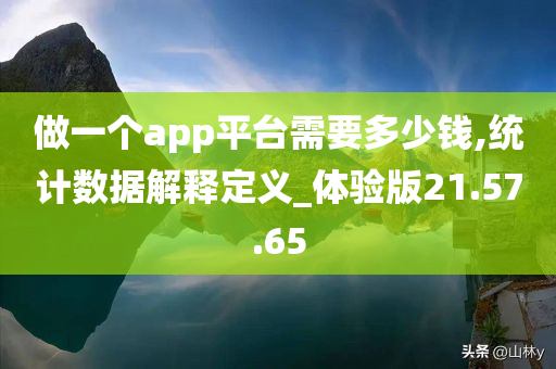 做一个app平台需要多少钱,统计数据解释定义_体验版21.57.65