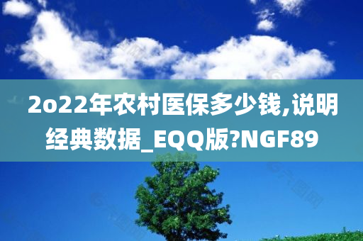 2o22年农村医保多少钱,说明经典数据_EQQ版?NGF89