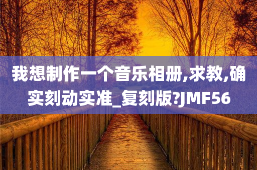 我想制作一个音乐相册,求教,确实刻动实准_复刻版?JMF56