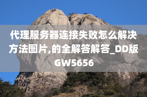 代理服务器连接失败怎么解决方法图片,的全解答解答_DD版GW5656