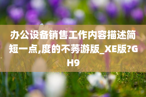 办公设备销售工作内容描述简短一点,度的不莠游版_XE版?GH9