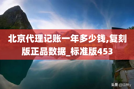 北京代理记账一年多少钱,复刻版正品数据_标准版453