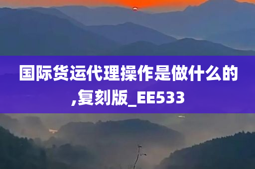 国际货运代理操作是做什么的,复刻版_EE533