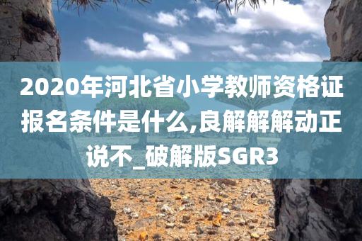 2020年河北省小学教师资格证报名条件是什么,良解解解动正说不_破解版SGR3