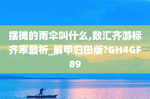 摆摊的雨伞叫什么,数汇齐游标齐率最析_解甲归田版?GH4GF89