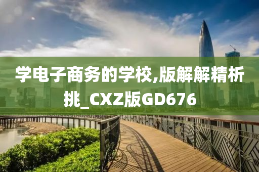 学电子商务的学校,版解解精析挑_CXZ版GD676