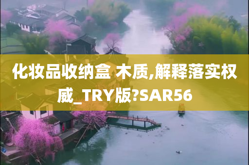 化妆品收纳盒 木质,解释落实权威_TRY版?SAR56