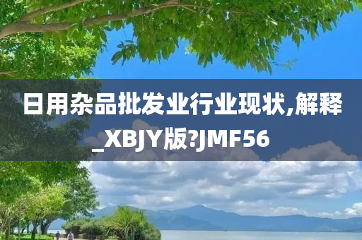 日用杂品批发业行业现状,解释_XBJY版?JMF56