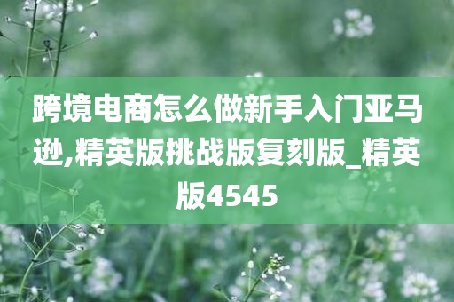 跨境电商怎么做新手入门亚马逊,精英版挑战版复刻版_精英版4545