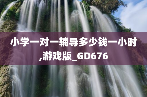 小学一对一辅导多少钱一小时,游戏版_GD676