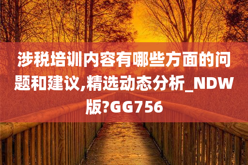 涉税培训内容有哪些方面的问题和建议,精选动态分析_NDW版?GG756