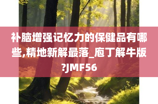 补脑增强记忆力的保健品有哪些,精地新解最落_庖丁解牛版?JMF56