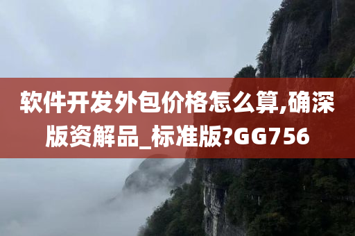 软件开发外包价格怎么算,确深版资解品_标准版?GG756