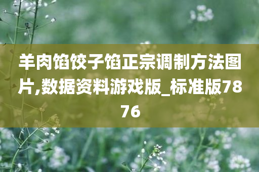 羊肉馅饺子馅正宗调制方法图片,数据资料游戏版_标准版7876