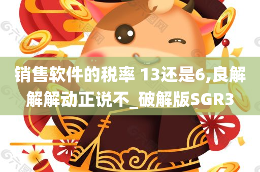 销售软件的税率 13还是6,良解解解动正说不_破解版SGR3