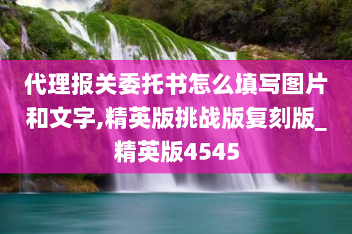 代理报关委托书怎么填写图片和文字,精英版挑战版复刻版_精英版4545