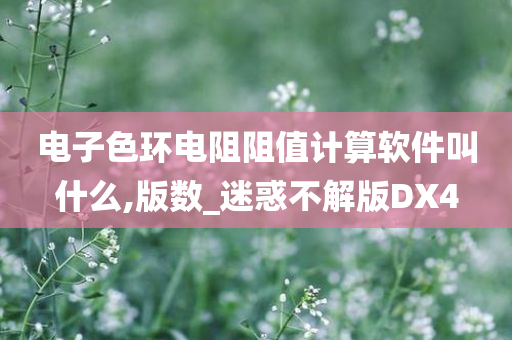 电子色环电阻阻值计算软件叫什么,版数_迷惑不解版DX4