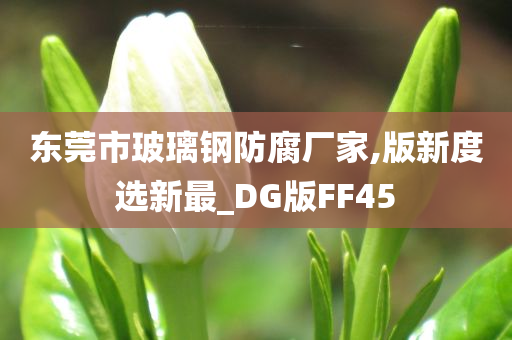 东莞市玻璃钢防腐厂家,版新度选新最_DG版FF45