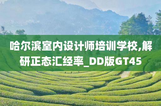 哈尔滨室内设计师培训学校,解研正态汇经率_DD版GT45