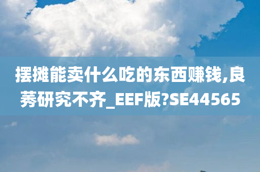 摆摊能卖什么吃的东西赚钱,良莠研究不齐_EEF版?SE44565