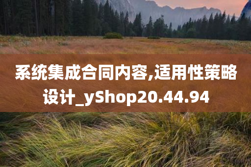 系统集成合同内容,适用性策略设计_yShop20.44.94